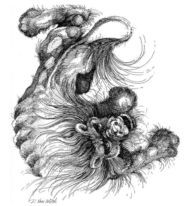 Don Art_screenview_1500dpi (136)_sm
